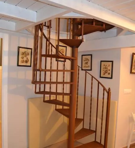 Loft En El Centro De